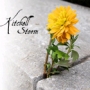 Kitchell - Storm