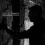 Davide Pagnini - Rivoluzione Artistica