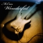 McCain - Wonderful
