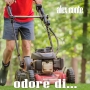 Alex Conte - Odore di...
