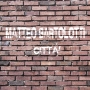 Matteo Bartolotti - CittÃ